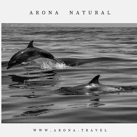 Costamar Lovely - Cristianos - Los Cristianos (Tenerife)