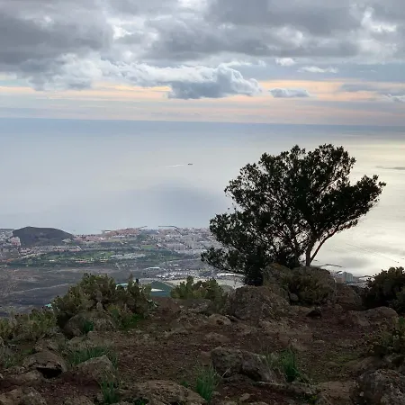 Costamar Lovely - Cristianos - * Los Cristianos (Tenerife)